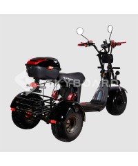 Электроскутер CityCoco SkyBoard Trike BR40-3000 PRO FAST