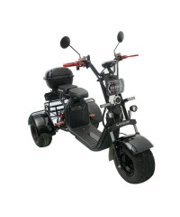 Электроскутер CityCoco SkyBoard Trike BR40-3000 PRO
