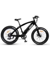 Электровелосипед Медведь 2.0 HD 750 2020