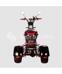 Электроскутер CityCoco SkyBoard Trike BR60-3000 PRO