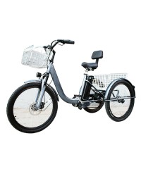 Электровелосипед GreenCamel Trike-B (48V 20Ah)