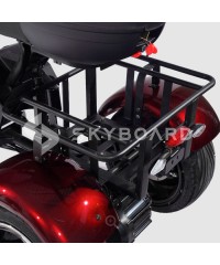 Электроскутер CityCoco SkyBoard Trike BR80
